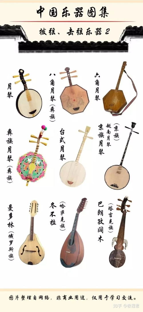 世界各国乐器有多少种