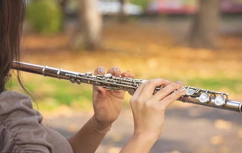 管乐器的吹奏方法和技巧