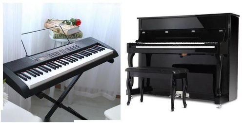 电子琴与钢琴的选择与区别