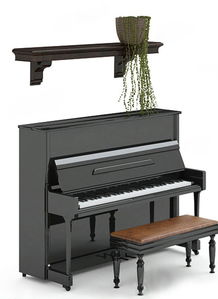 电子琴和钢琴怎么选比较好