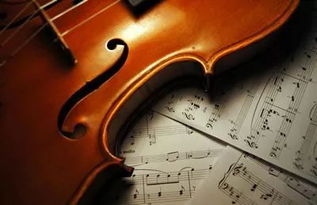 提琴持琴方式有哪几种