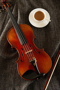 小提琴和大提琴哪个优雅