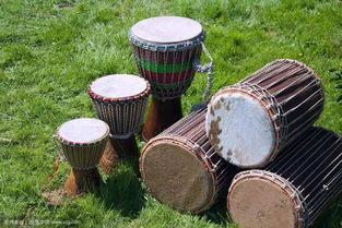 非洲鼓传统曼丁和流行的区